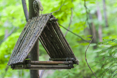 Similar image 11511108