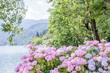 Similar image 11754832