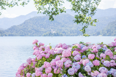 Similar image 11754833