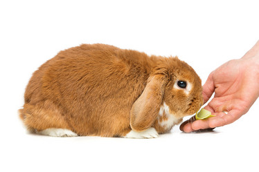 Similar image 11617517