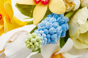 Similar image 11616219