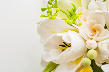 Similar image 11616226