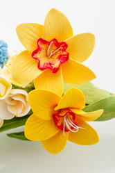 Similar image 11616586