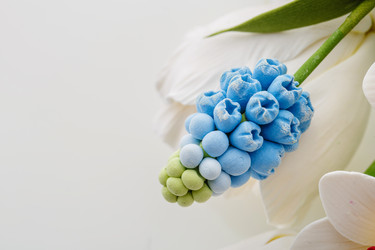 Similar image 11616592