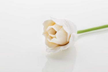 Similar image 11616602