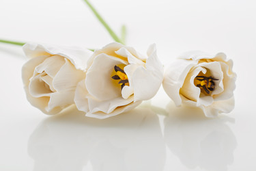 Similar image 11616607