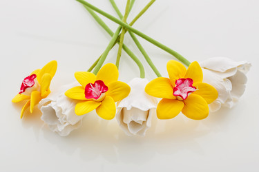 Similar image 11616615