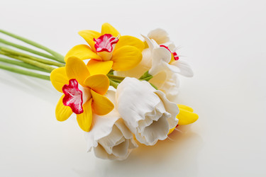 Similar image 11617134