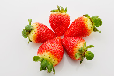 Similar image 11617178