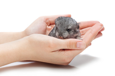 Similar image 11617764