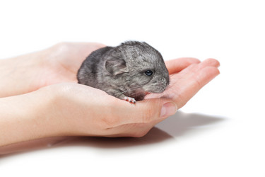 Similar image 11616238