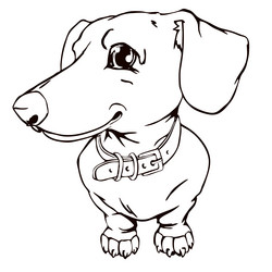 Similar image 11511180