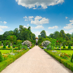 Similar image 11512062