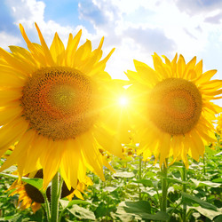 Similar image 11512064