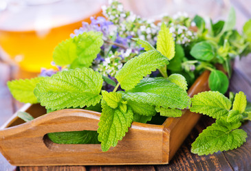 Similar image 11516702