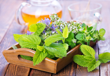 Similar image 11516704