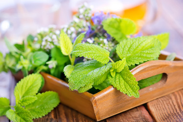 Similar image 11516722