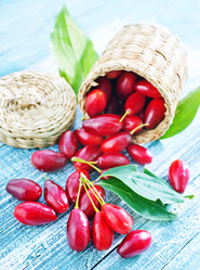 Similar image 11516642