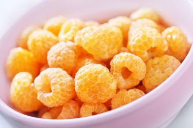 Similar image 11516663