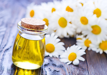 Similar image 11516858