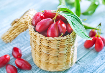 Similar image 11516508