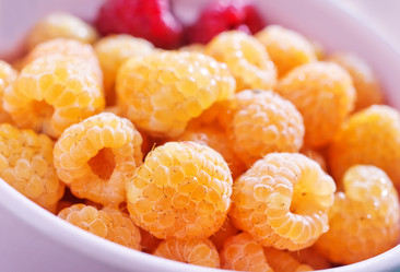 Similar image 11516510