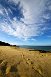 Similar image 11511697