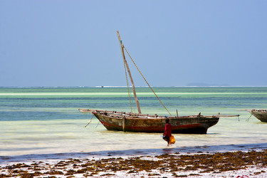 Similar image 11511699