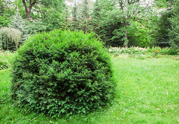 Similar image 11511685