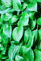 Similar image 11511686