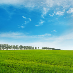 Similar image 11511661