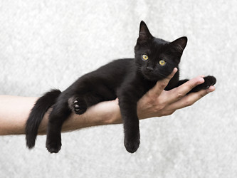 Similar image 11511846