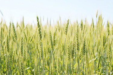 Similar image 11512641