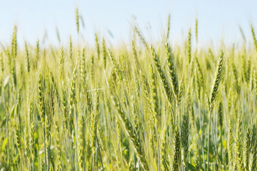 Similar image 11512642