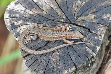 Similar image 11512682