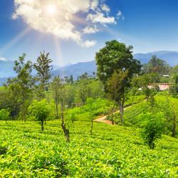 Similar image 11512511