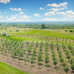 Similar image 11512514