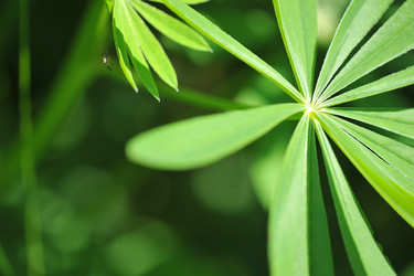 Similar image 11512706