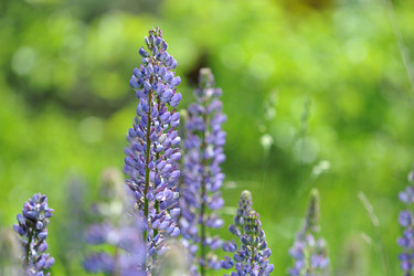 Similar image 11512707