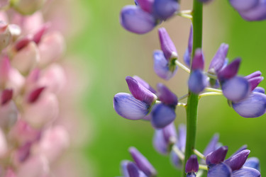 Similar image 11512710