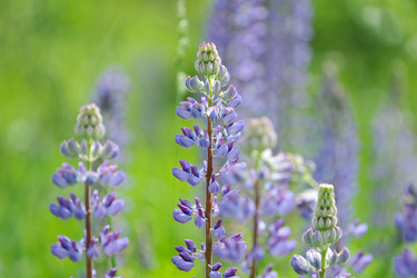 Similar image 11512711