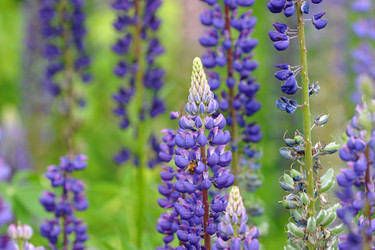 Similar image 11512713