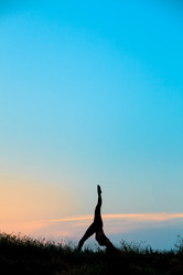 Similar image 11512448