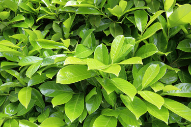 Similar image 11512413