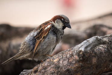 Similar image 11512417