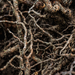 Similar image 11512419