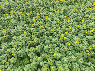 Similar image 11753814