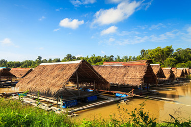 Similar image 11513532