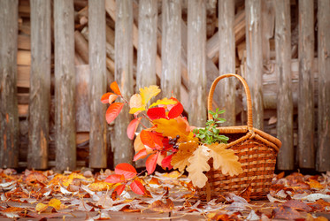 Similar image 11512506