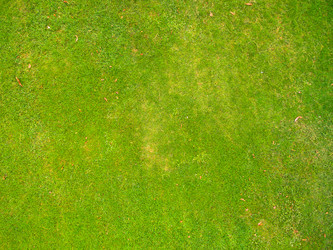 Similar image 11513814